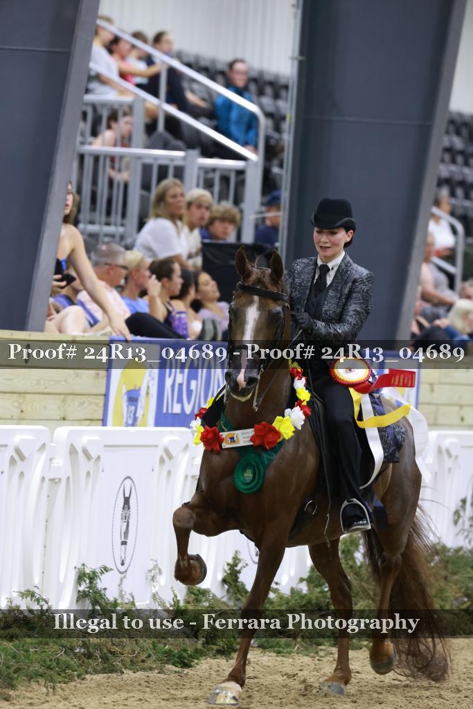 Proof 24R13_04689