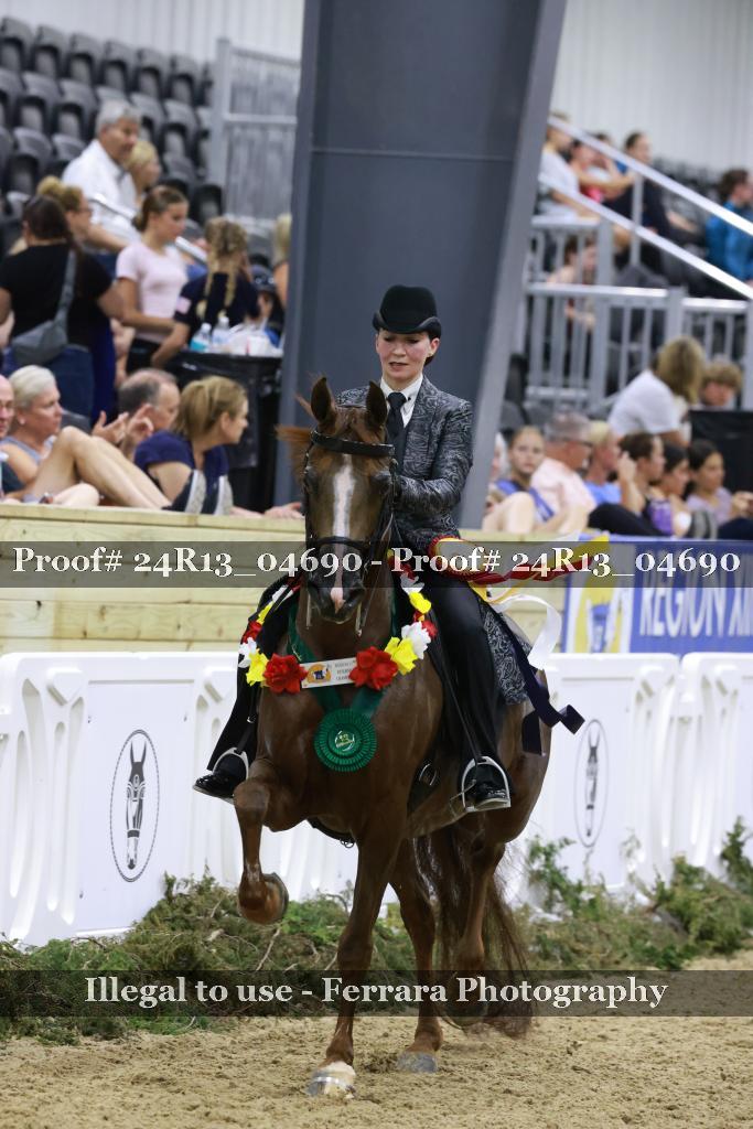 Proof 24R13_04690