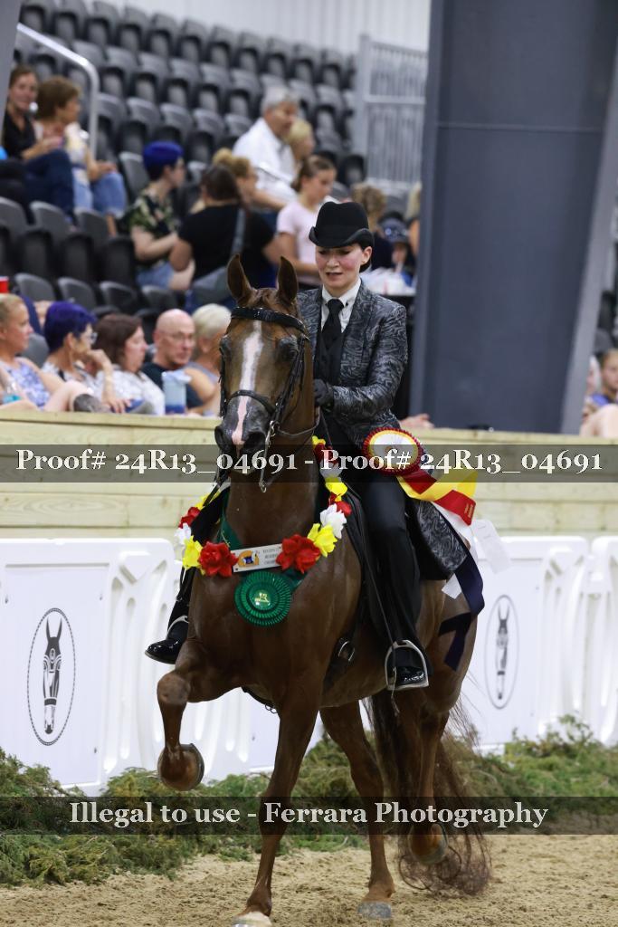 Proof 24R13_04691