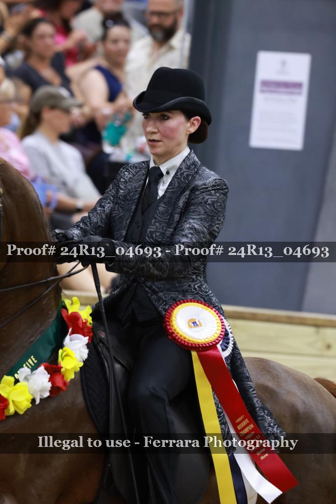 Proof 24R13_04693