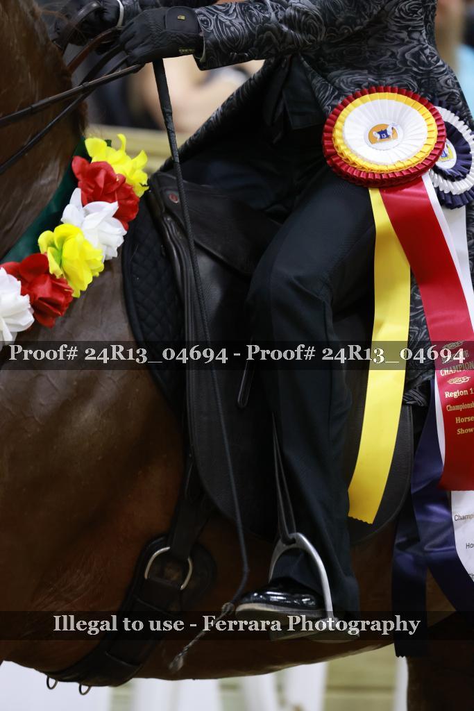 Proof 24R13_04694