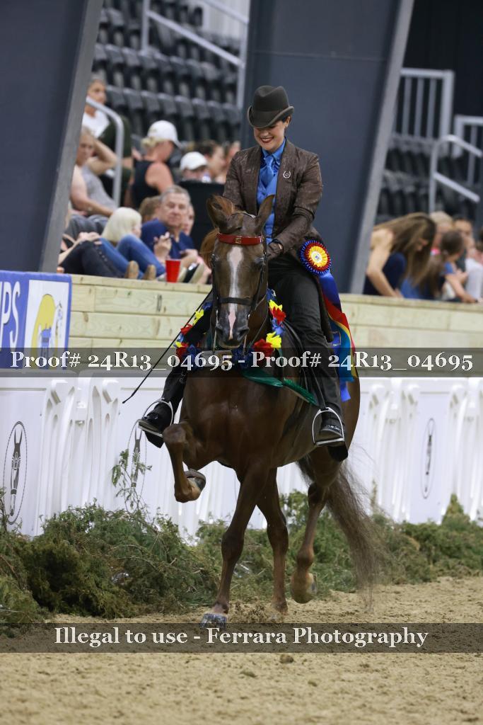 Proof 24R13_04695