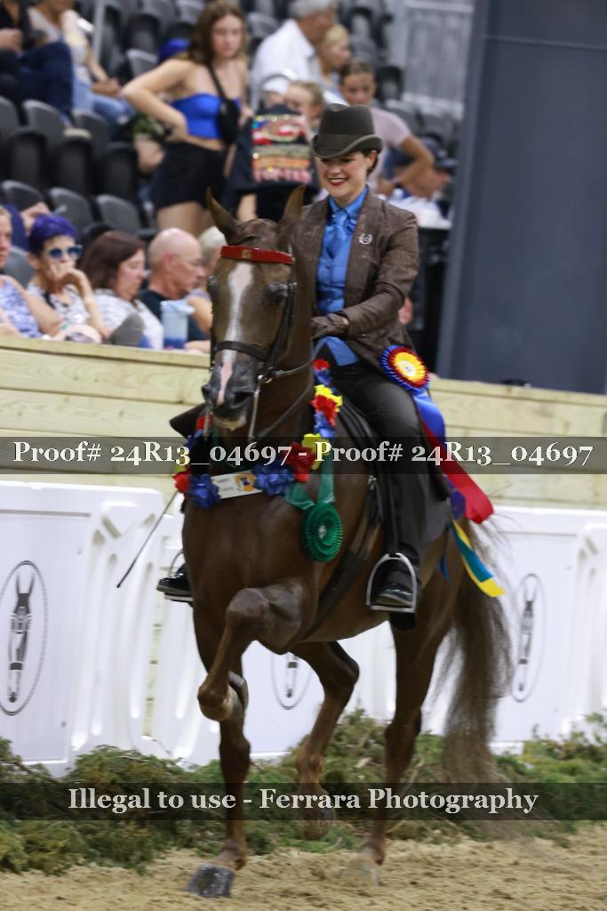 Proof 24R13_04697