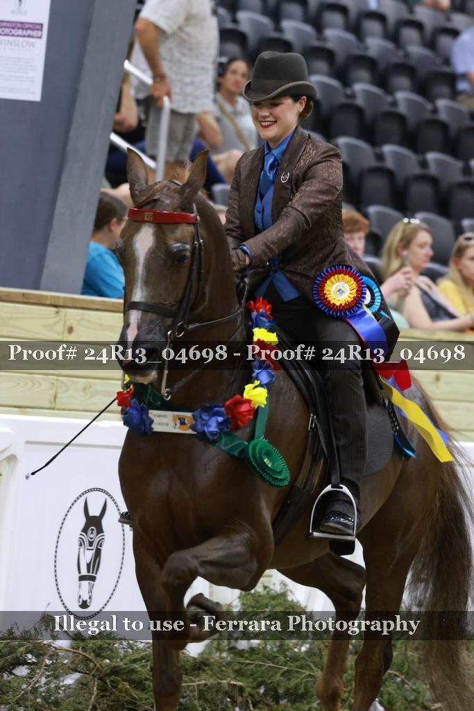 Proof 24R13_04698