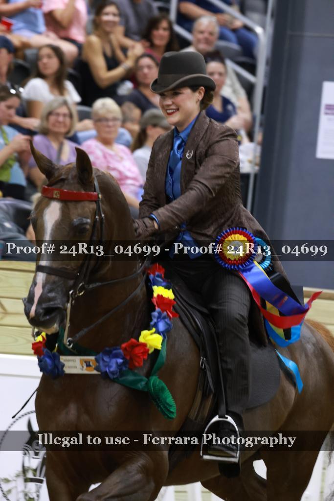 Proof 24R13_04699