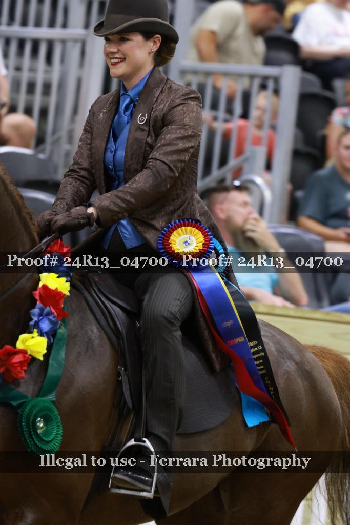 Proof 24R13_04700