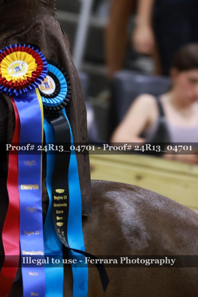 Proof 24R13_04701