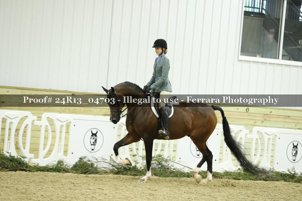 Proof 24R13_04703