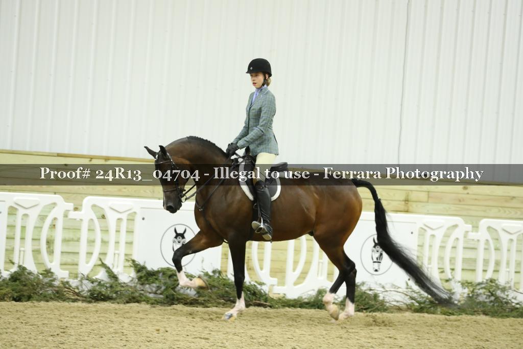Proof 24R13_04704