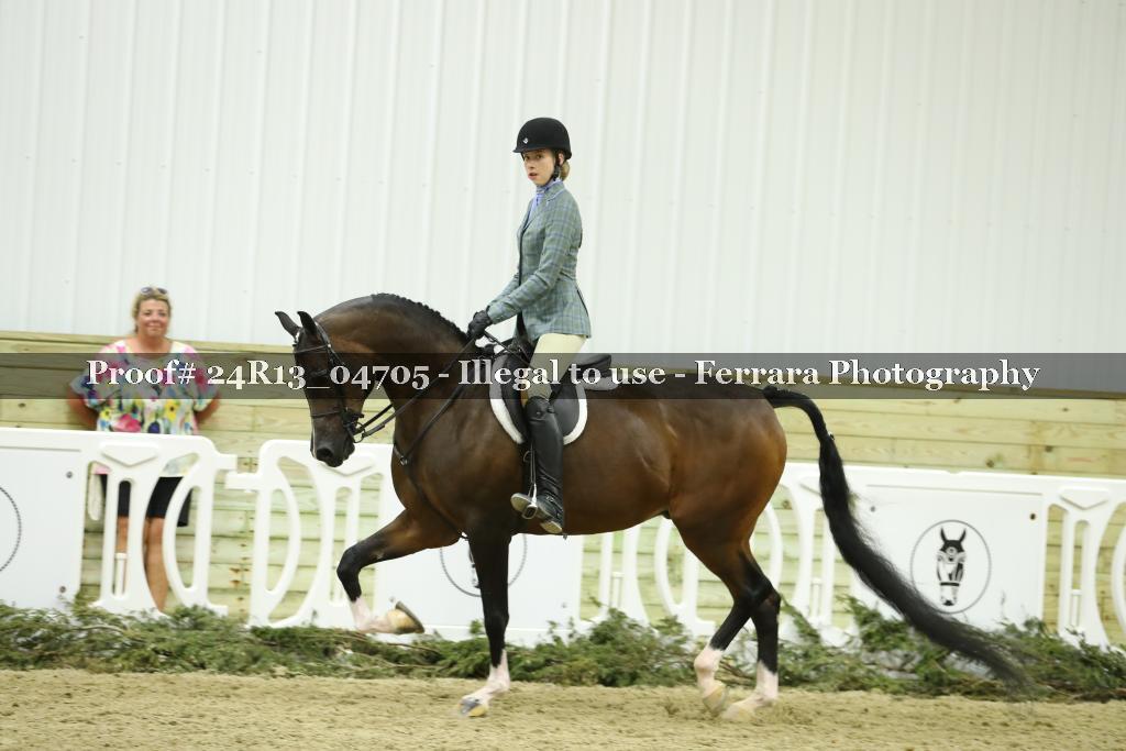 Proof 24R13_04705