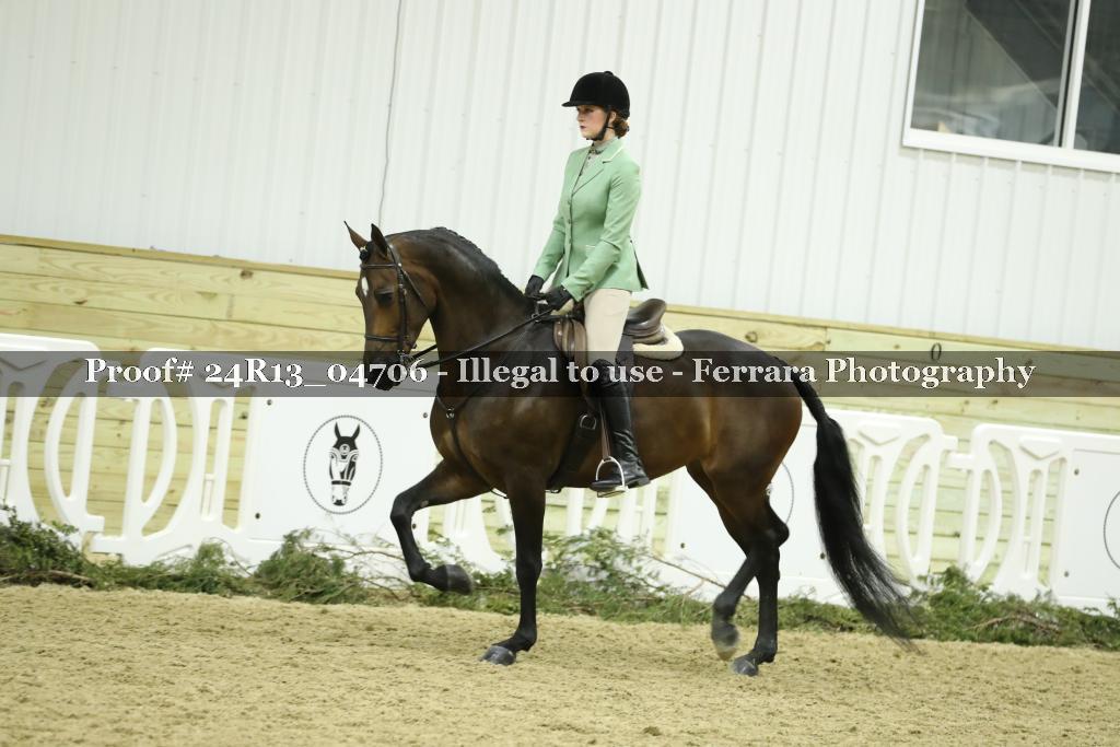 Proof 24R13_04706