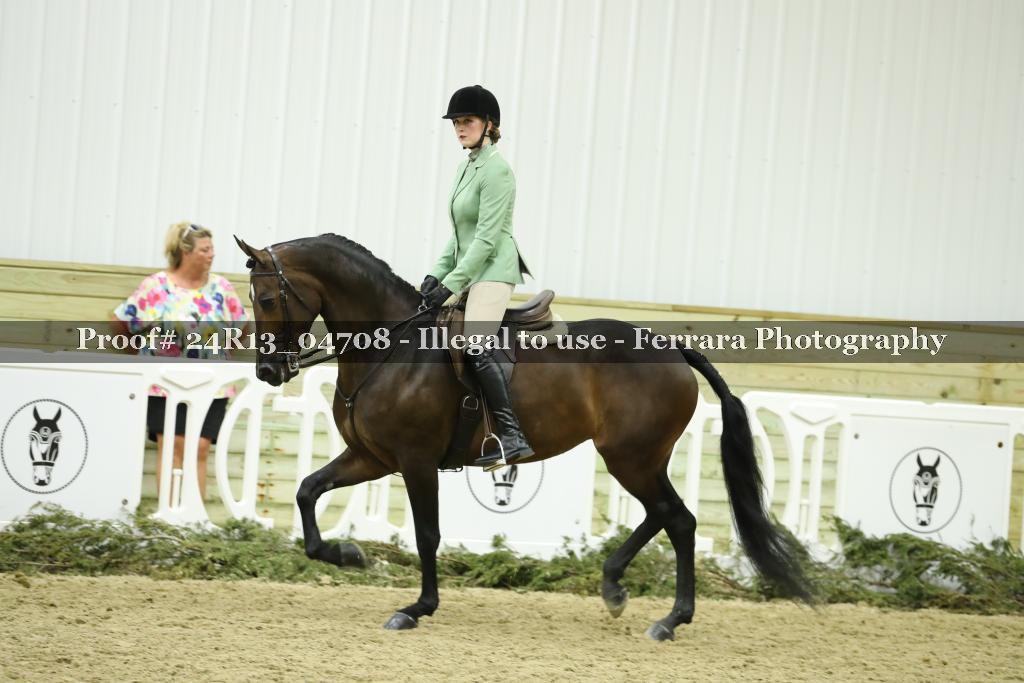 Proof 24R13_04708