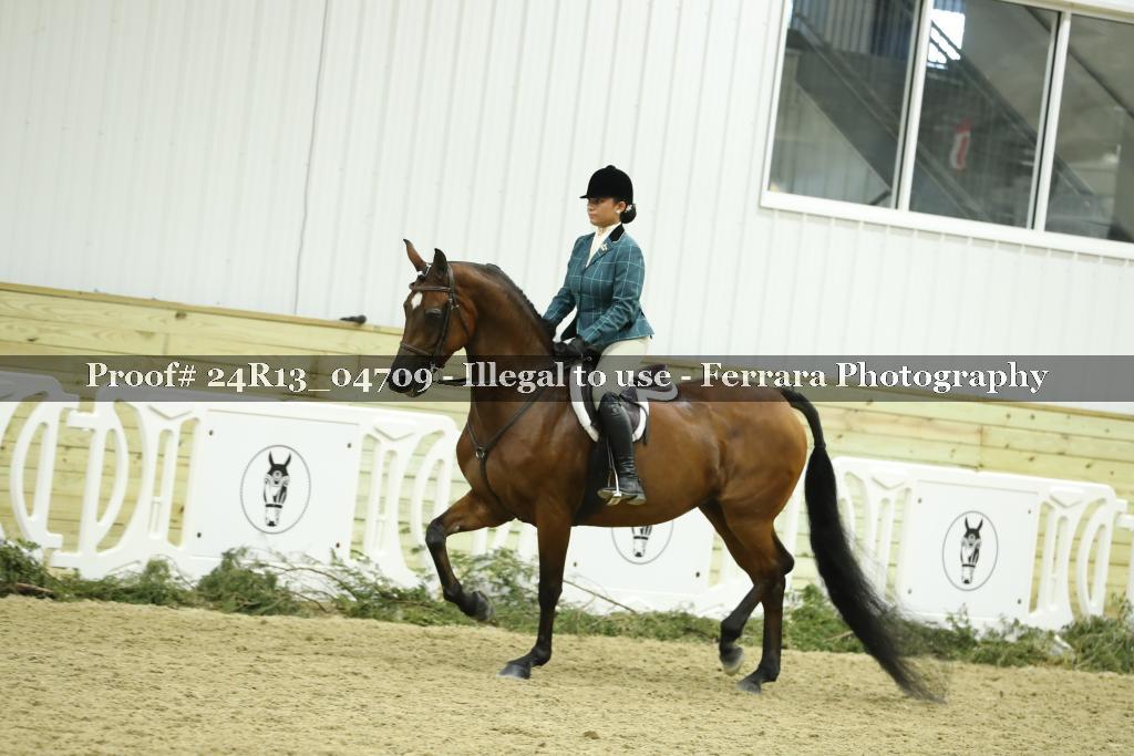 Proof 24R13_04709