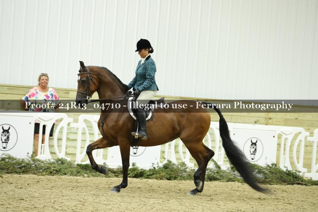 Proof 24R13_04710