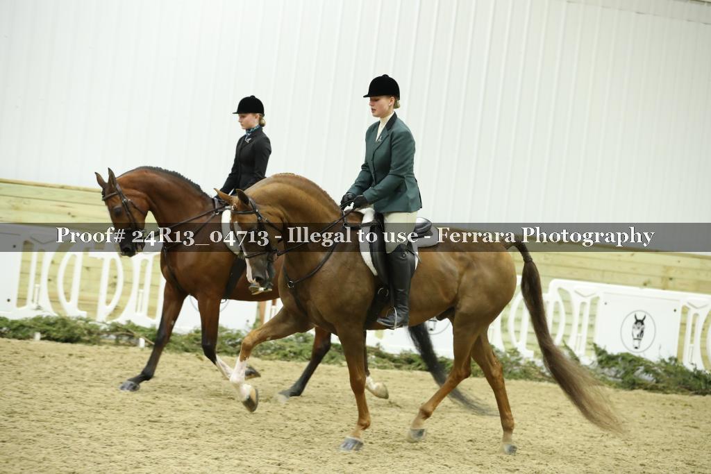 Proof 24R13_04713