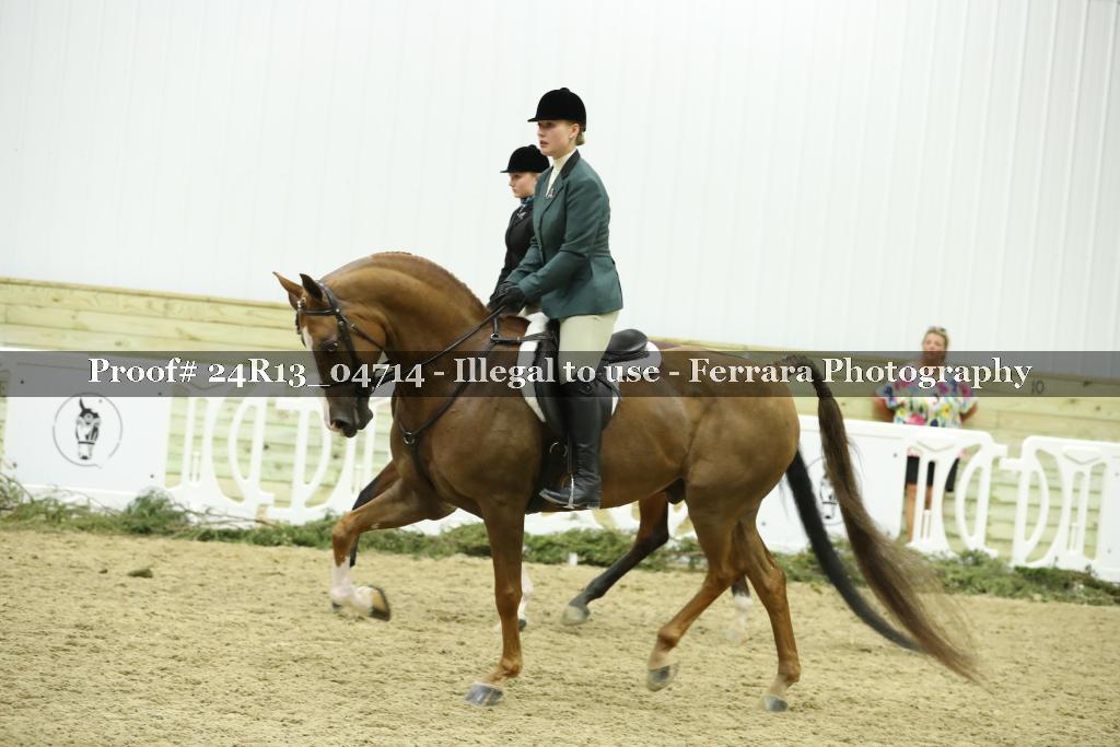Proof 24R13_04714