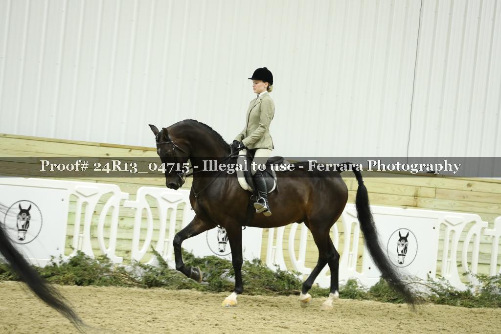 Proof 24R13_04715