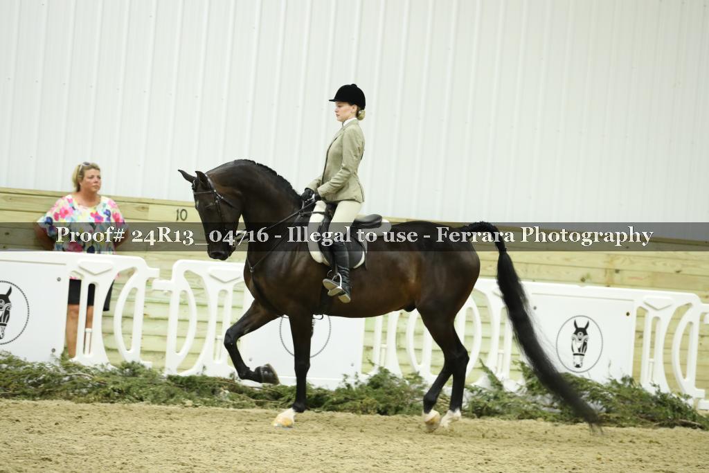 Proof 24R13_04716