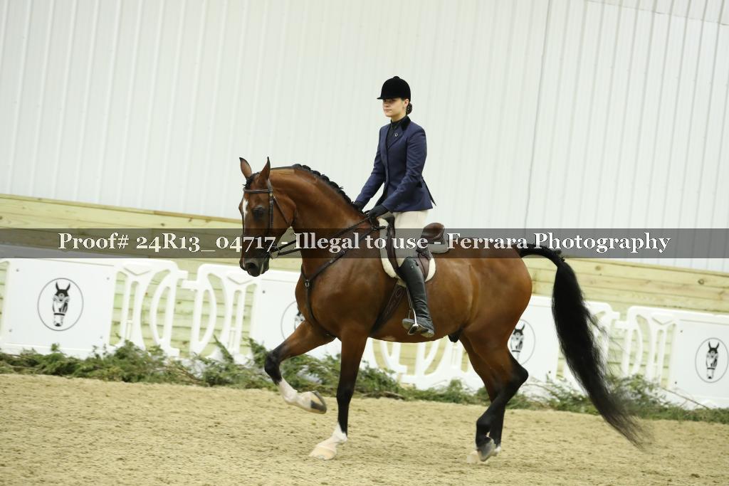 Proof 24R13_04717