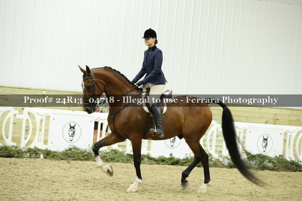 Proof 24R13_04718