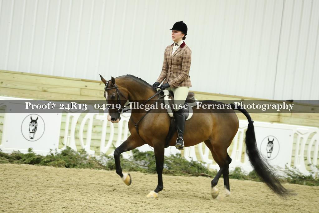 Proof 24R13_04719