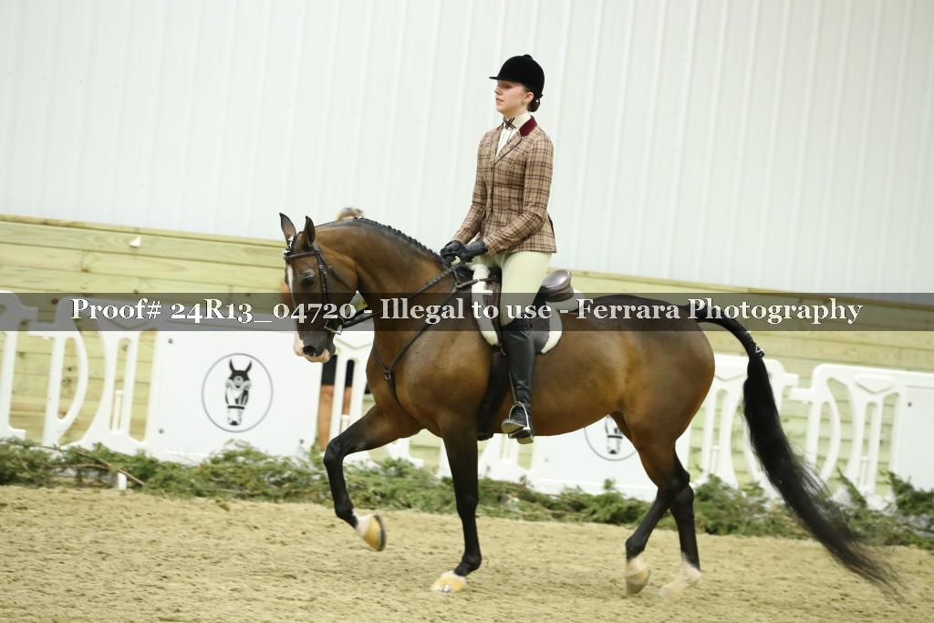 Proof 24R13_04720