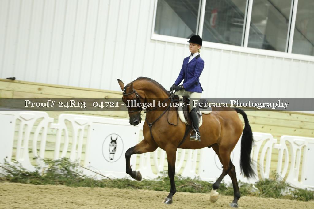 Proof 24R13_04721
