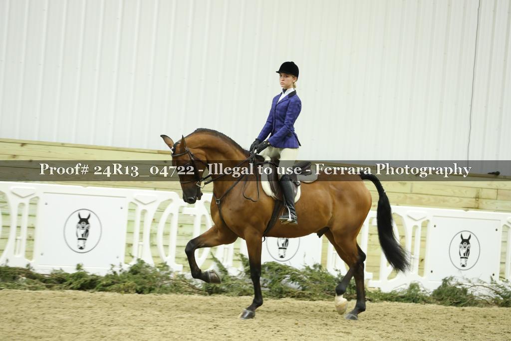 Proof 24R13_04722