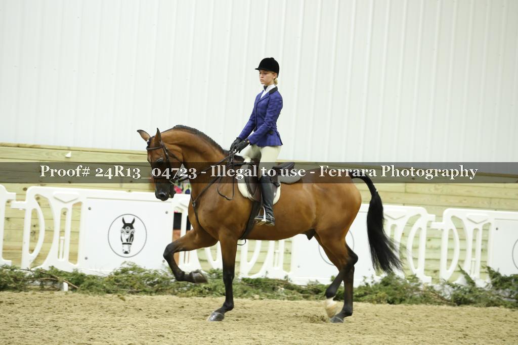 Proof 24R13_04723