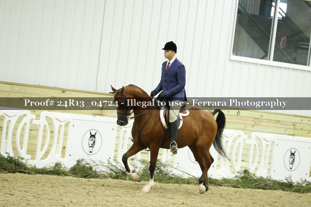 Proof 24R13_04724