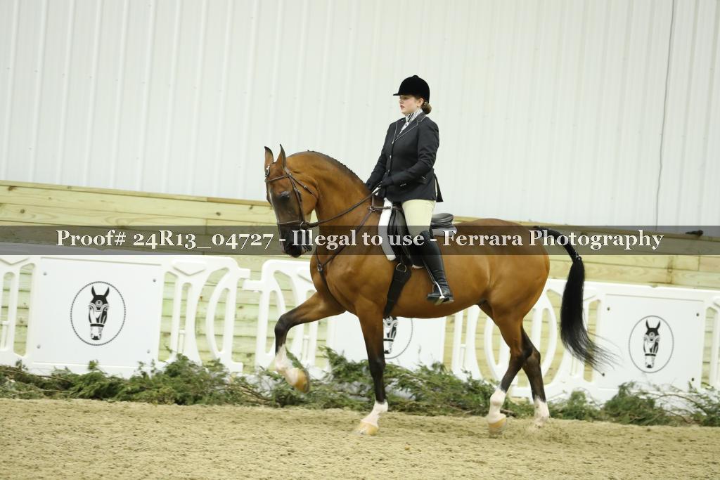 Proof 24R13_04727