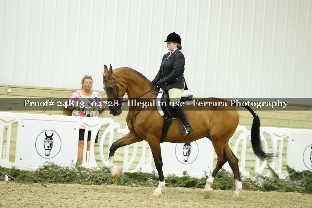 Proof 24R13_04728