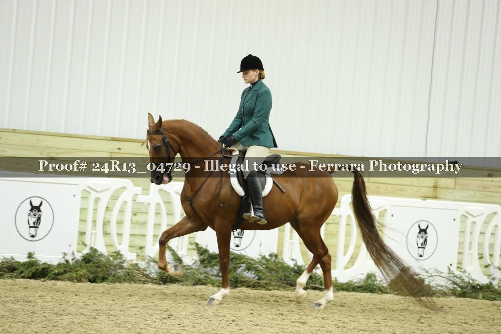 Proof 24R13_04729