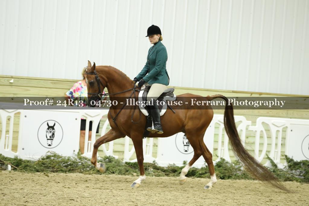 Proof 24R13_04730