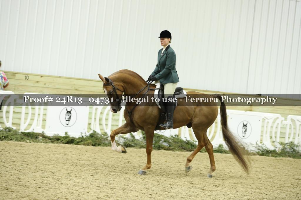 Proof 24R13_04731