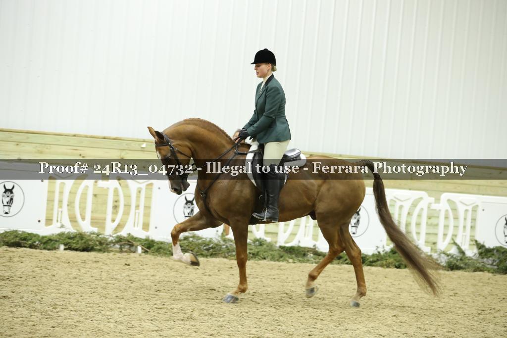 Proof 24R13_04732