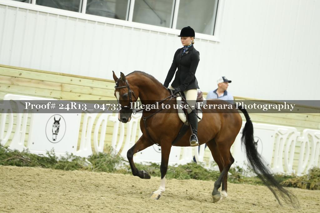 Proof 24R13_04733