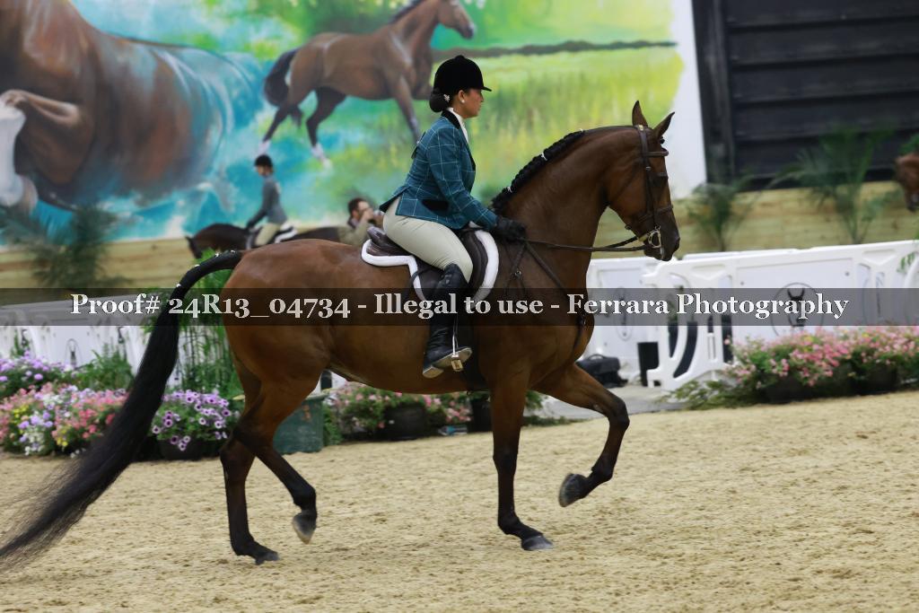 Proof 24R13_04734
