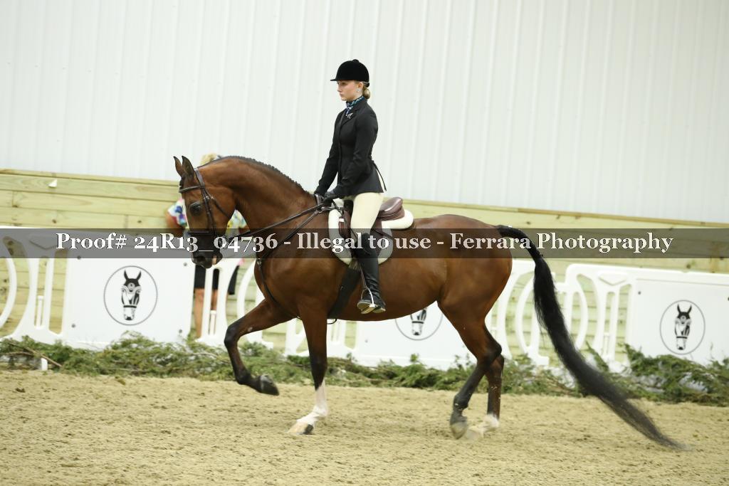 Proof 24R13_04736