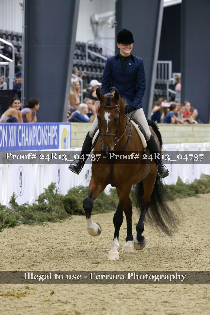 Proof 24R13_04737