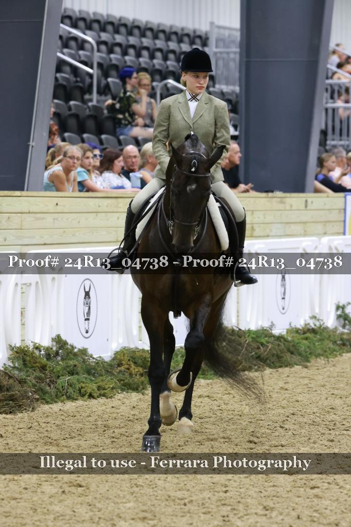 Proof 24R13_04738