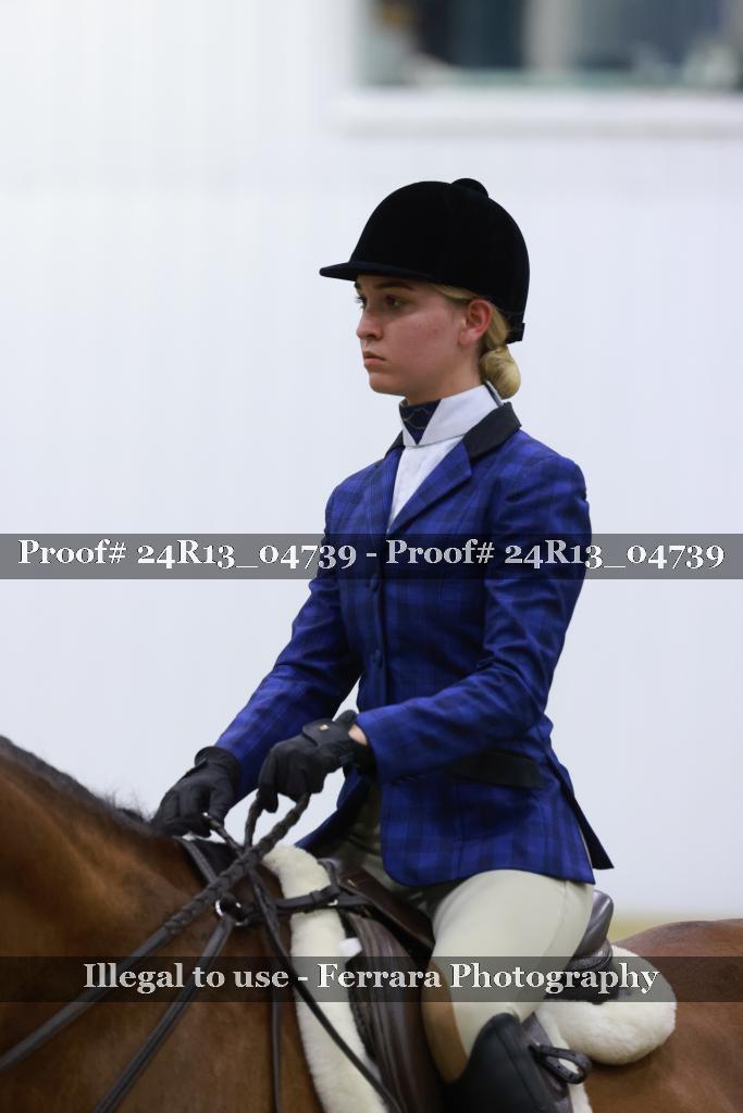 Proof 24R13_04739