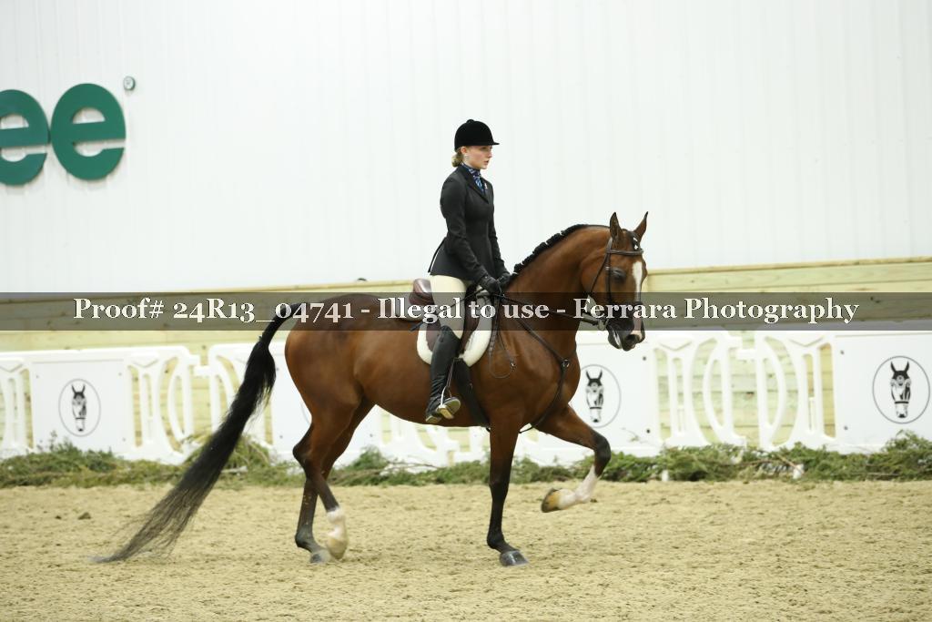 Proof 24R13_04741