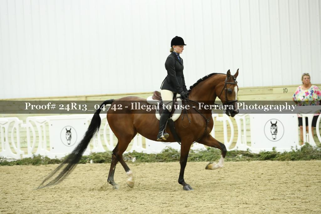 Proof 24R13_04742