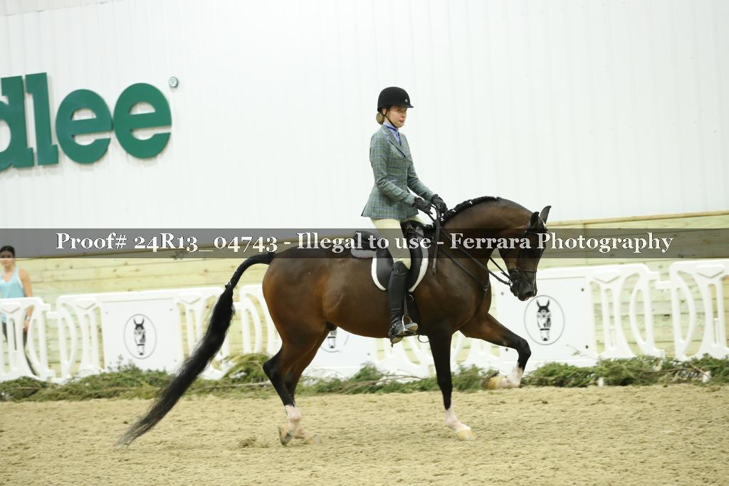 Proof 24R13_04743