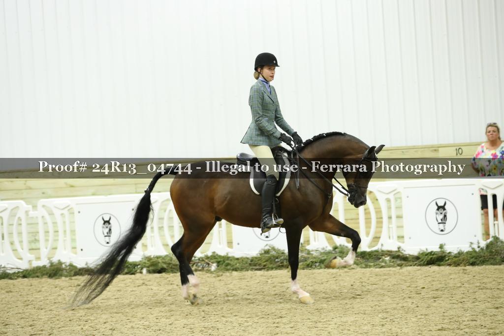 Proof 24R13_04744