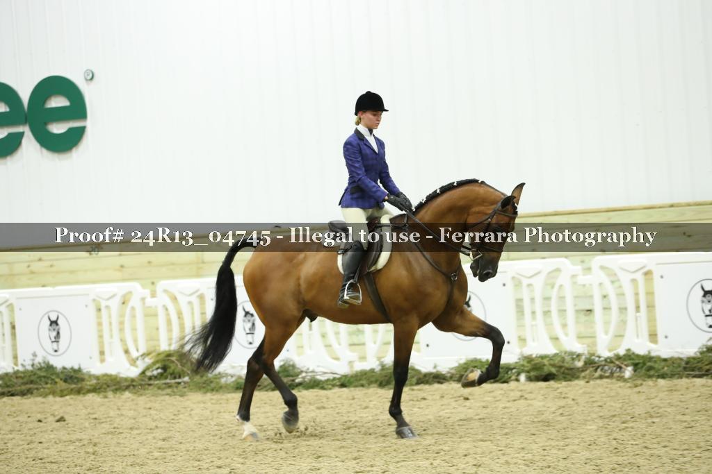 Proof 24R13_04745