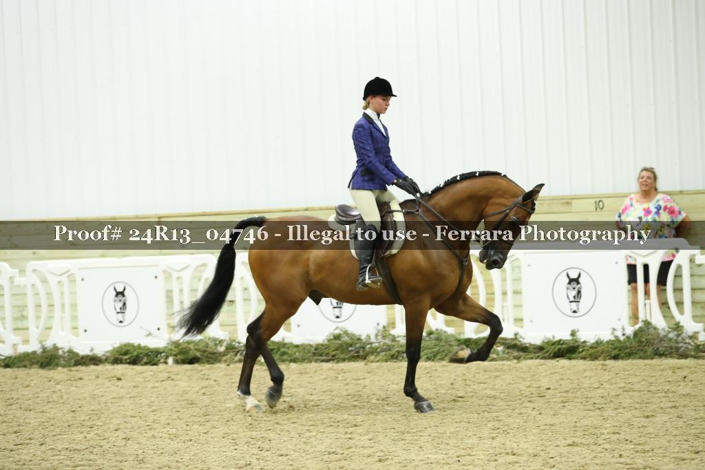 Proof 24R13_04746