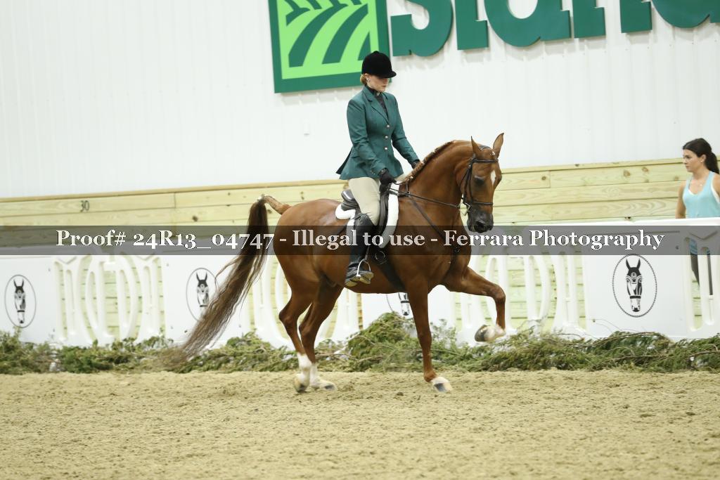 Proof 24R13_04747