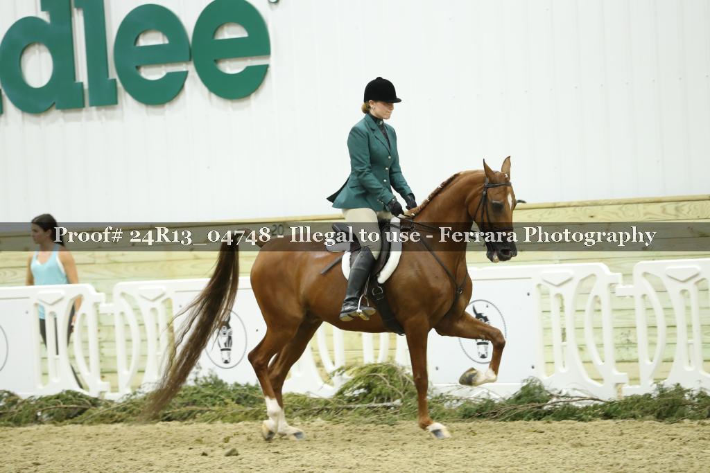 Proof 24R13_04748